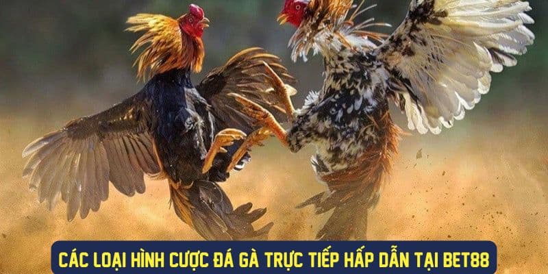 Đa dạng loại hình cược thú vị hấp dẫn